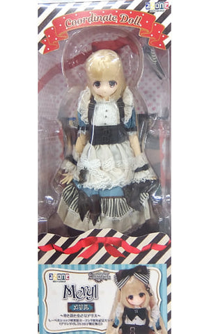 Meryl Book, Mirror and Little Alice Label Shop Akihabara 7th Anniversary Model Azone Direct Store Limited Sale Alvastaria Doll [USED]