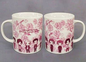 Tokimeki Memorial Girl 's Side Premium 3rd Story Mug Cup Tokimeki Memorial Girl 's Side Cultural Festival Mug [USED]