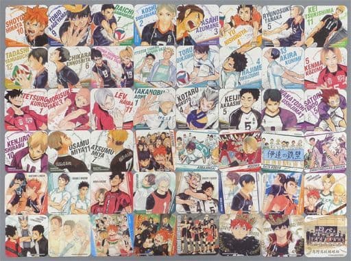 Shoyo Hinata, etc. Haikyu!! Art Coasters Jump Festa 2018 Limited All 45 Types Set & Box Purchase Privilege Coaster [USED]