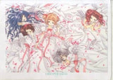 5 People/Wings/White Dress A4 Clear File Cardcaptor Sakura File Folder [USED]