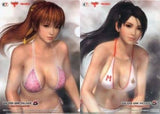 Kasumi & Momiji A4 Clear File PS3/Xbox360 Soft Dead or Alive 5 Ultimate Package GAMECITY Purchase Bonus File Folder [USED]