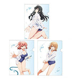 Yukino / Yui / Iroha A4 Clear File Set 3 Sheets Set My Youth Romantic Comedy Is Wrong, As I Expected File Folder [USED]