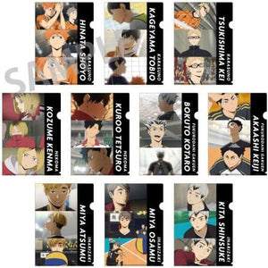 All 10 Types Set Haikyu !! A4 Trading Clear File File Folder [USED]