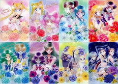 Eternal Sailor Moon, etc. Sailor Moon Jumbo Carddass Art File Collection 3 All 8 Types Set File Folder [USED]