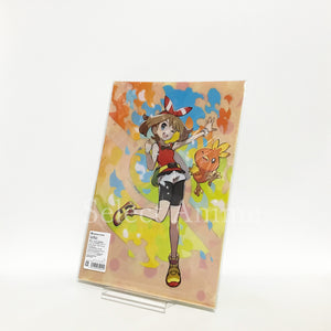 Eika & May & Serena A4 Clear File 3 Set Pokemon Trainers Pokemon Pokemon Center Limited File Folder [USED]