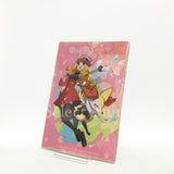 Eika & May & Serena A4 Clear File 3 Set Pokemon Trainers Pokemon Pokemon Center Limited File Folder [USED]